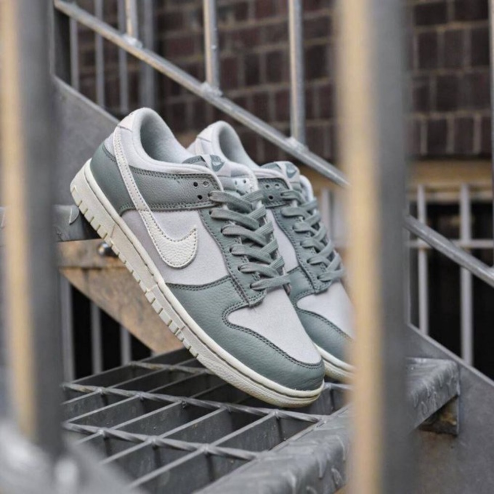 EUC Nike Dunk Low